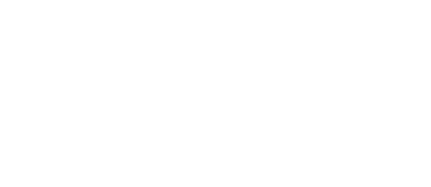 Logo APT